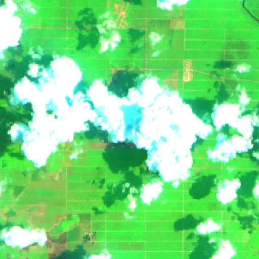 Wildfire near Wiralaga Mulya (Oct 12 · S) — Sentinel-2 SWIR (fuego)