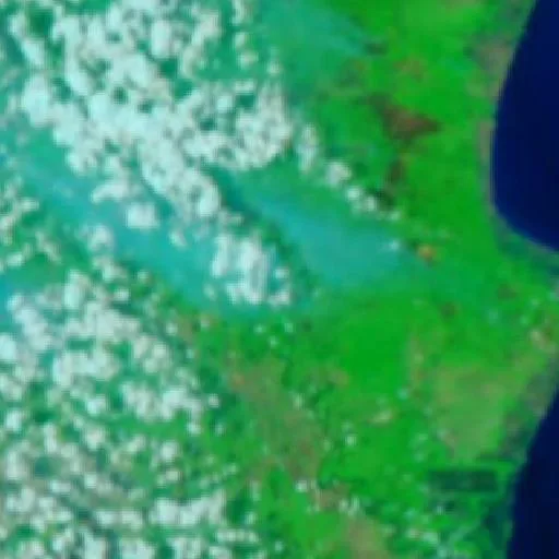 Incendio cerca de Wiralaga Mulya (17 sep · W) — NASA satellite