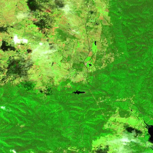 Wolumla Bushfire — Sentinel-2 SWIR (fuego)