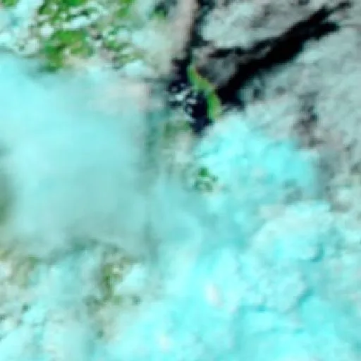 Wurdong Heights Bushfire — NASA satellite