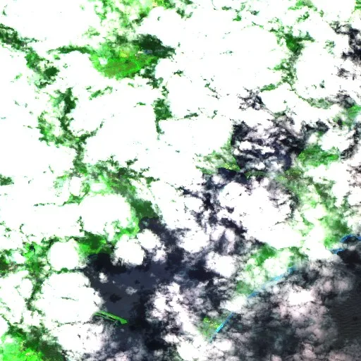 Wyongah Bushfire — Sentinel-2 SWIR (fuego)