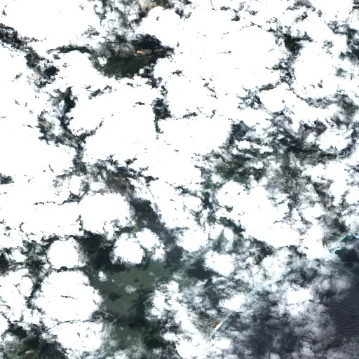 Wyongah Bushfire — Sentinel-2 true color