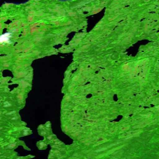 Wildfire — Sentinel-2 SWIR (fuego)