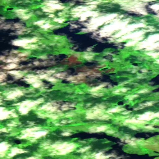 Wildfire — Sentinel-2 SWIR (fuego)