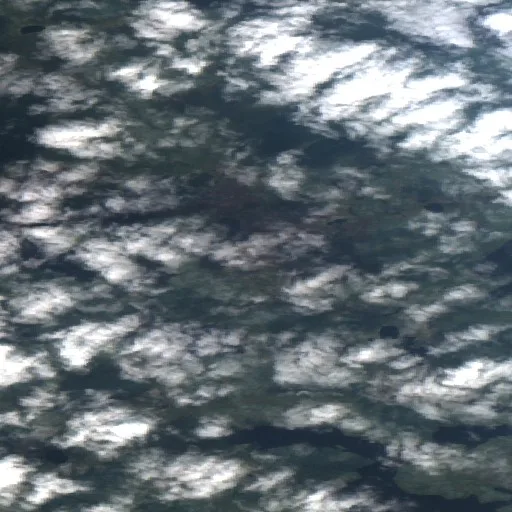 Wildfire — Sentinel-2 true color