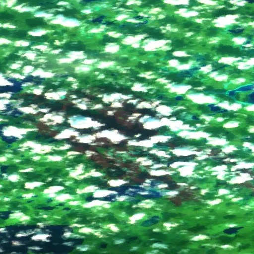 Wildfire — Sentinel-2 SWIR (fuego)