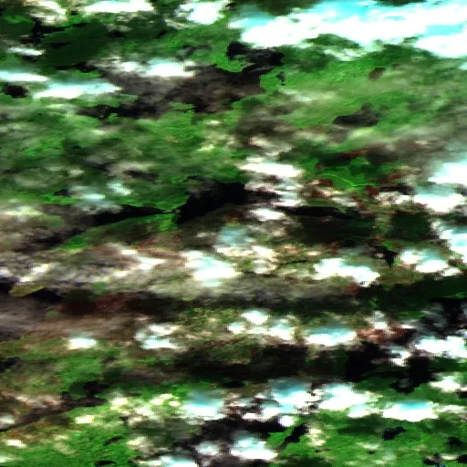 Wildfire — Sentinel-2 SWIR (fuego)