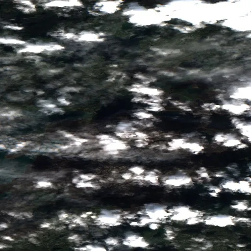 Wildfire — Sentinel-2 true color