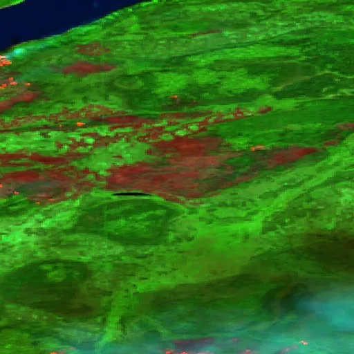 Wildfire — Sentinel-2 SWIR (fuego)