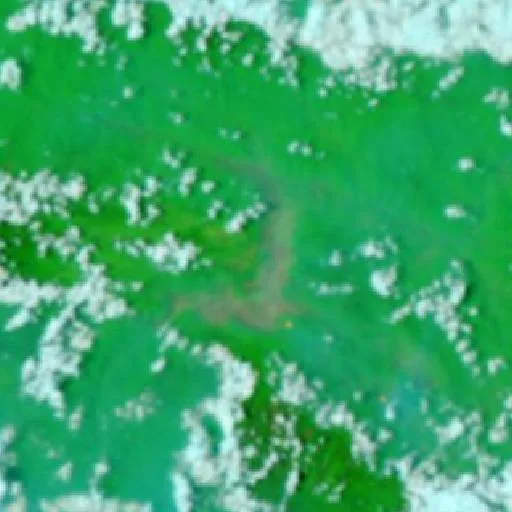 Wildfire — NASA satellite