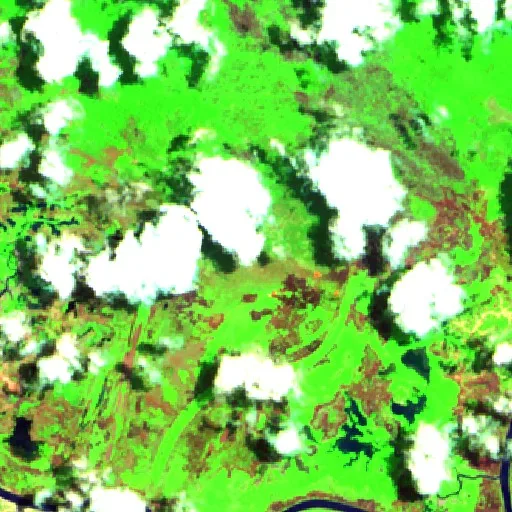 Wildfire — Sentinel-2 SWIR (fuego)
