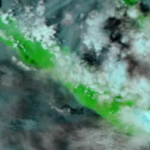 Wildfire — NASA satellite