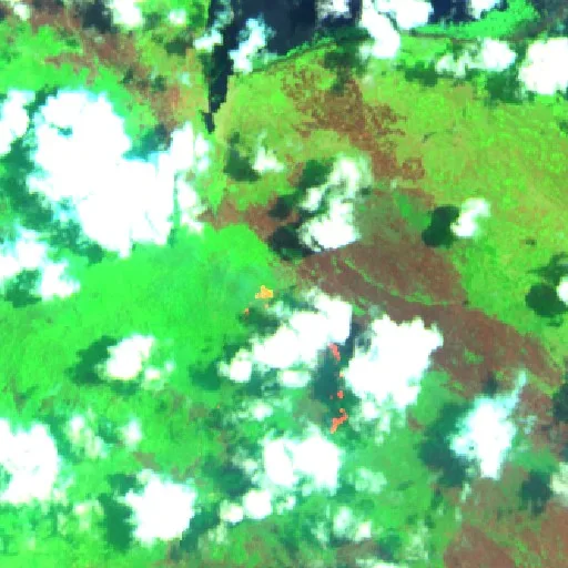 Wildfire — Sentinel-2 SWIR (fuego)