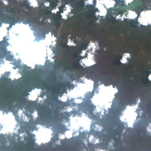 Wildfire — Sentinel-2 true color