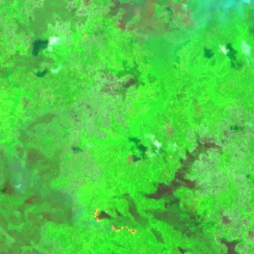 Wildfire — Sentinel-2 SWIR (fuego)