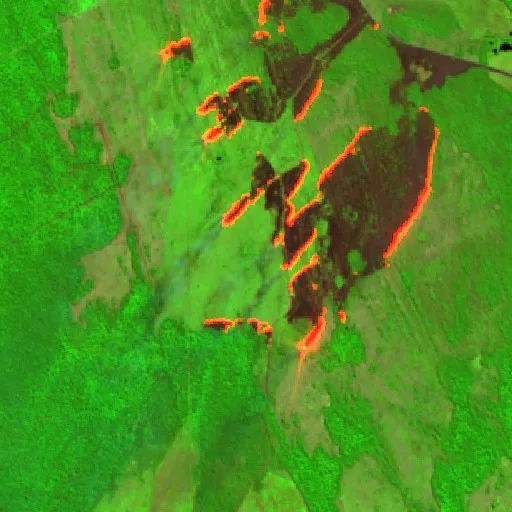 Wildfire — Sentinel-2 SWIR (fuego)