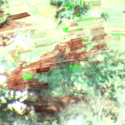 Wildfire — Sentinel-2 SWIR (fuego)