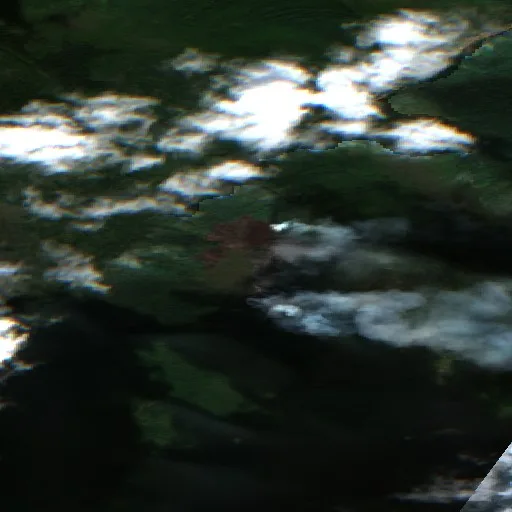 Wildfire — Sentinel-2 true color