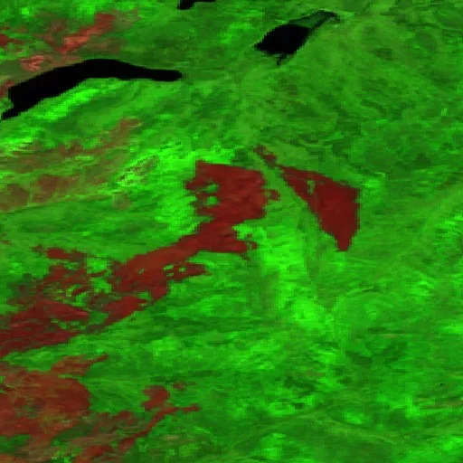 Wildfire — Sentinel-2 SWIR