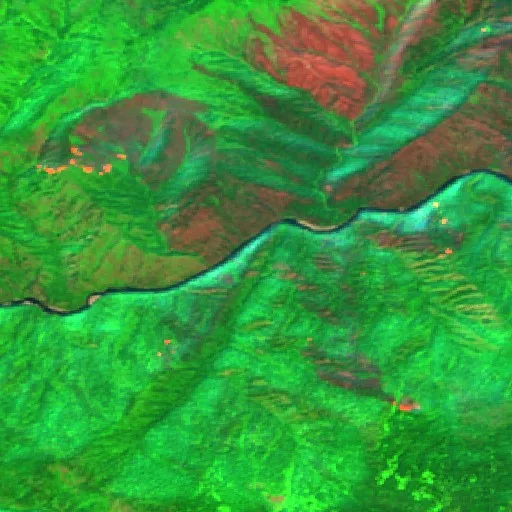 Incendio Wolf Creek (ID) — Sentinel-2 SWIR (fuego)