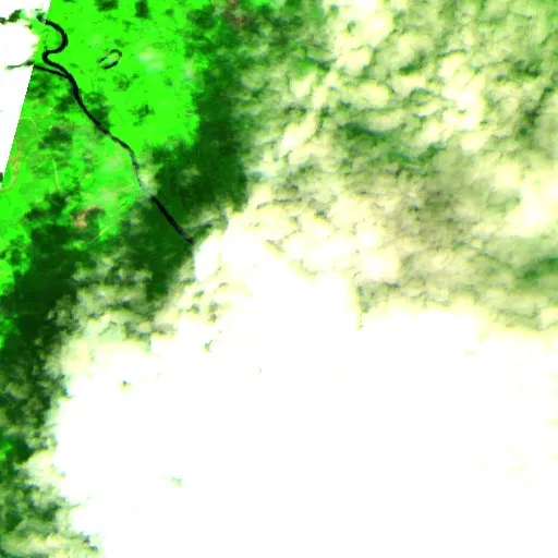 Woodbury Fire (South Carolina) — Sentinel-2 SWIR (fuego)