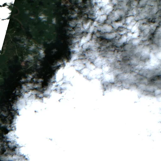Woodbury Fire (South Carolina) — Sentinel-2 true color