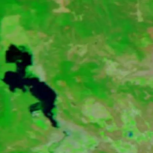 Wrights Spring Fire (OR) — NASA satellite