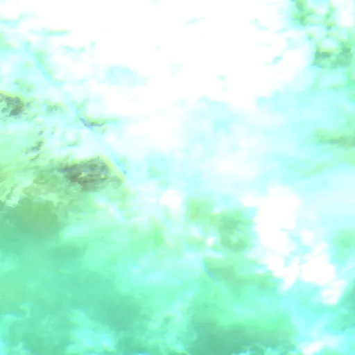 Xu Hill Fire (South Dakota) — Sentinel-2 SWIR (fuego)