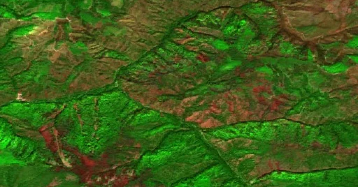 Black Bear Fire, Hamilton, Montana (2026) — Map & Containment