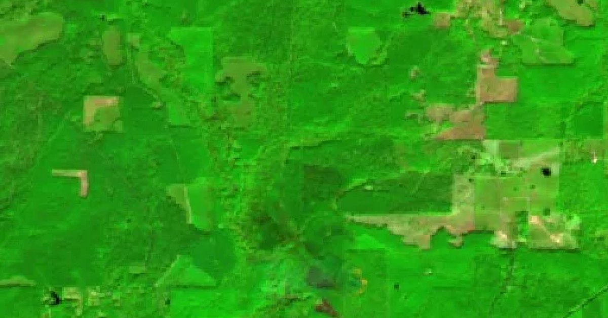 Jasper Cr 25 Fire, Newton, Mississippi — Map & Containment