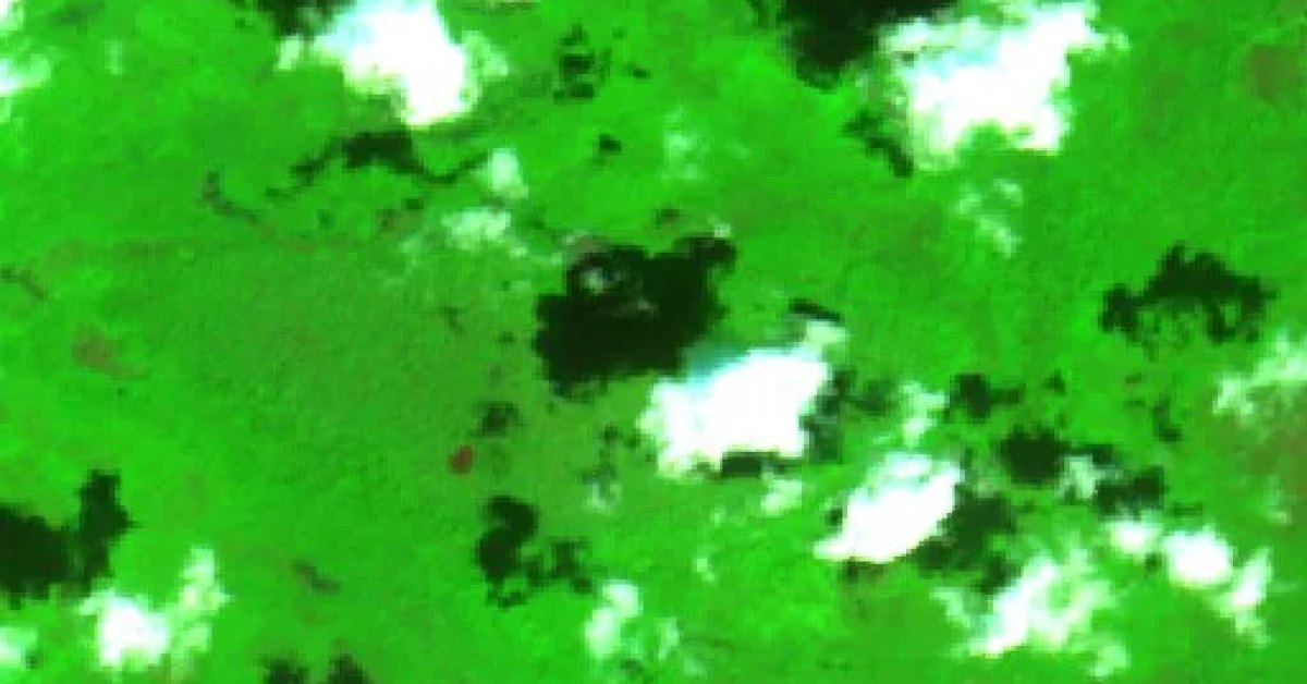 Mitchell Fire, Ware COUNTY, Georgia (2026) — Map & Containment