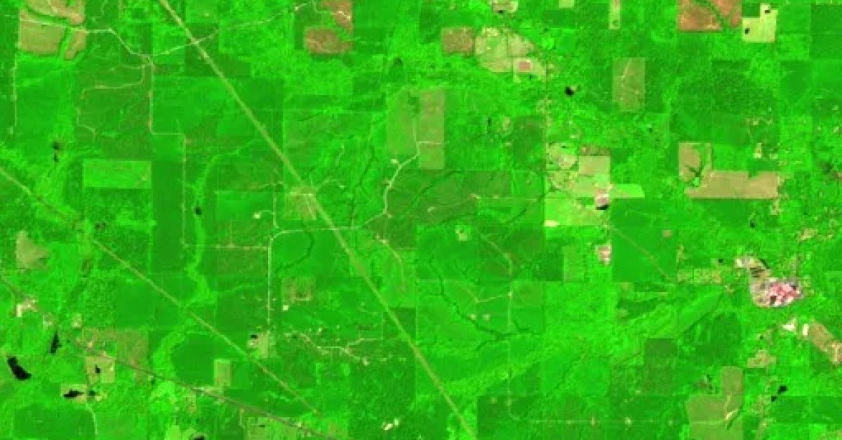 Pine Tree Rd Fire, Lawson, Arkansas (2026) — Map & Containment
