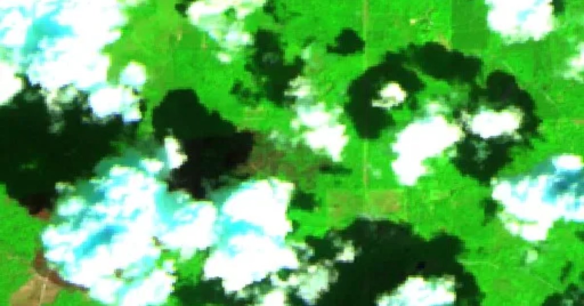 Ray Coaker Fire, DEER PARK, Alabama (2026) — Map & Containment