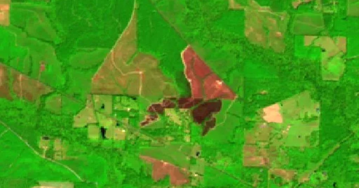 Turkey Creek Fire, Pitkin, Louisiana — Map & Containment