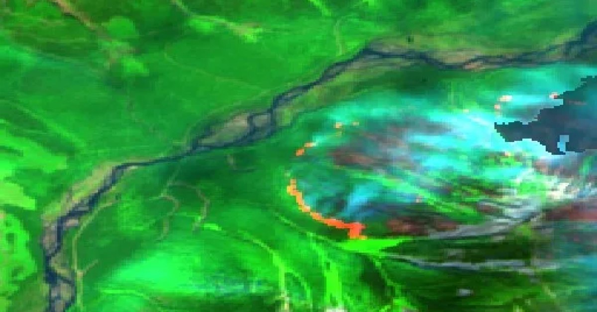 Sea Lion Mountain Fire, Golden, BC (2026) — Map & Containment