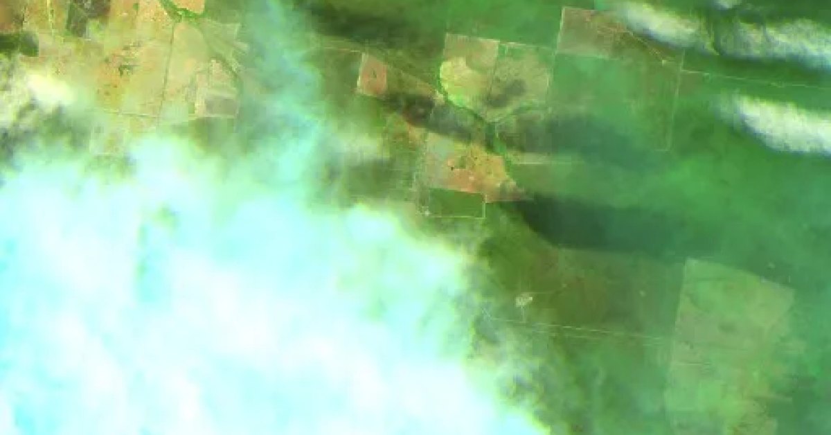 Binnaway Bushfire, NSW (2026) — Map & Containment | Current Wildfires