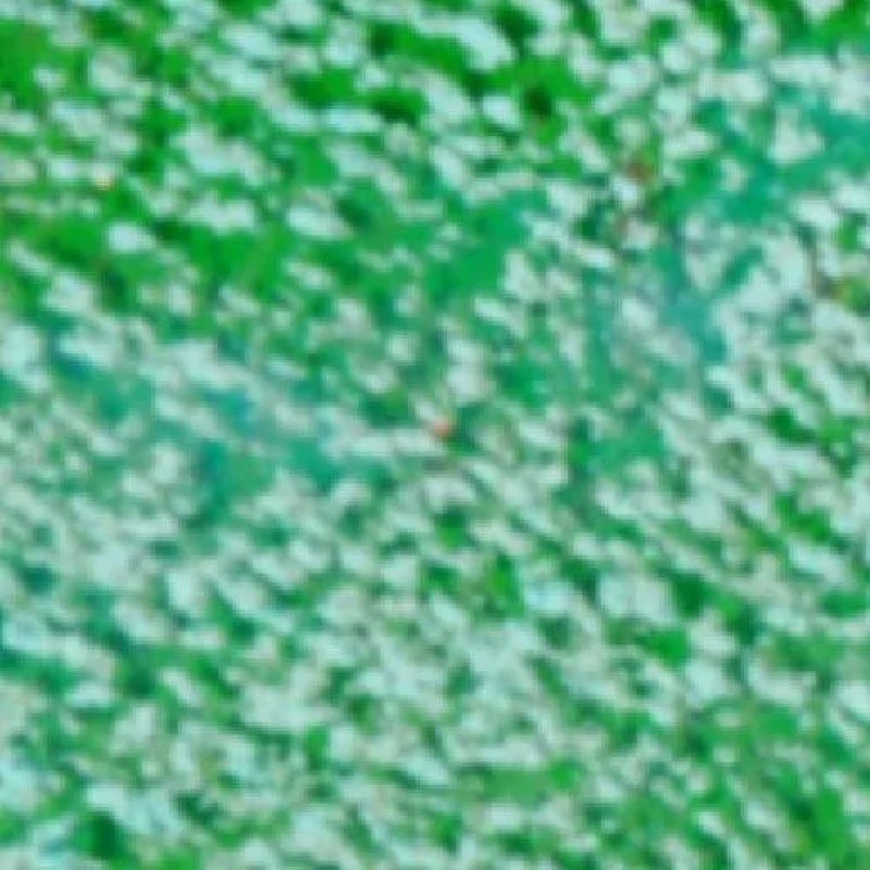 Wildfire near Bom Jardim (Oct 13), BR (2026) — Map & Containment