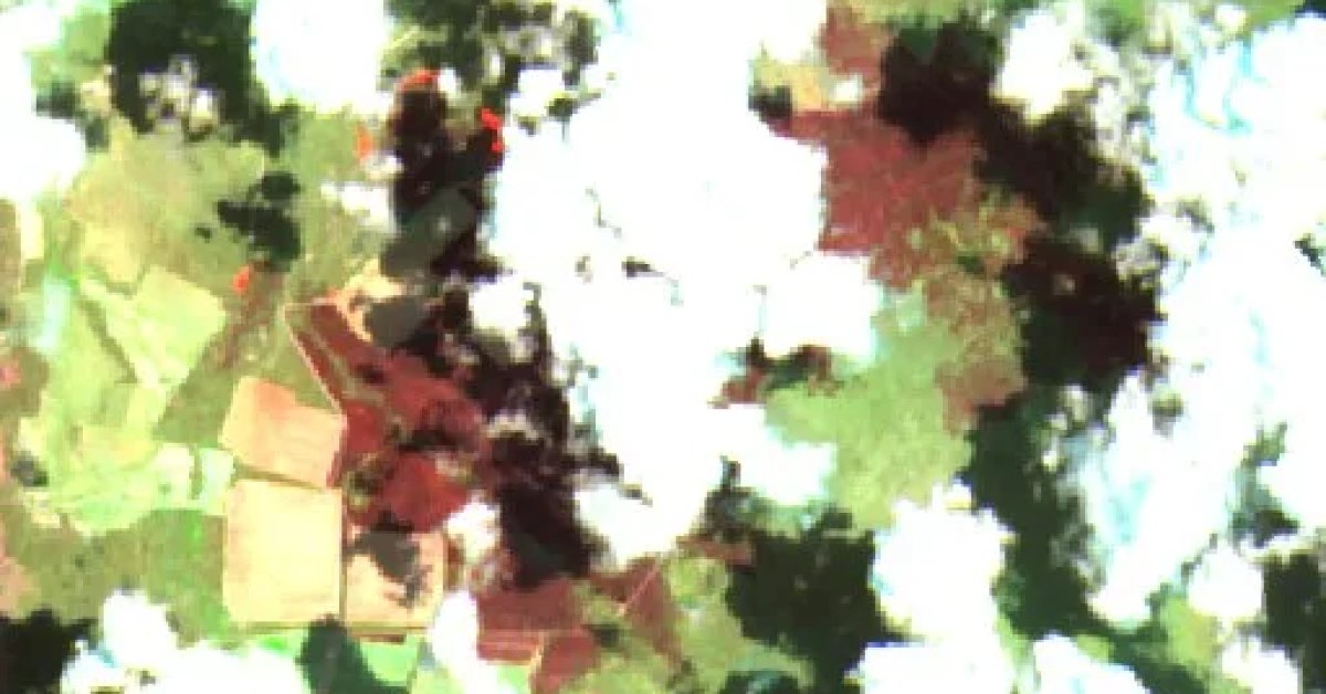 Wildfire near Canto do Buriti, BR (2026) — Map & Containment