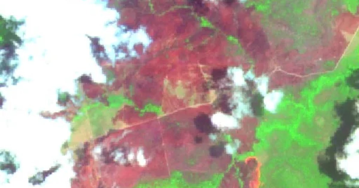 Wildfire near Central (Oct 5), BR (2026) — Map & Containment