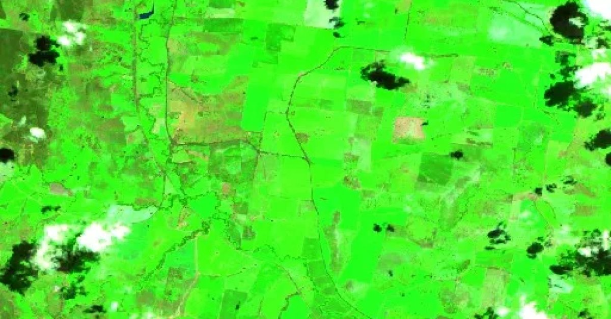 Cootamundra Bushfire, NSW (2026) — Map & Containment