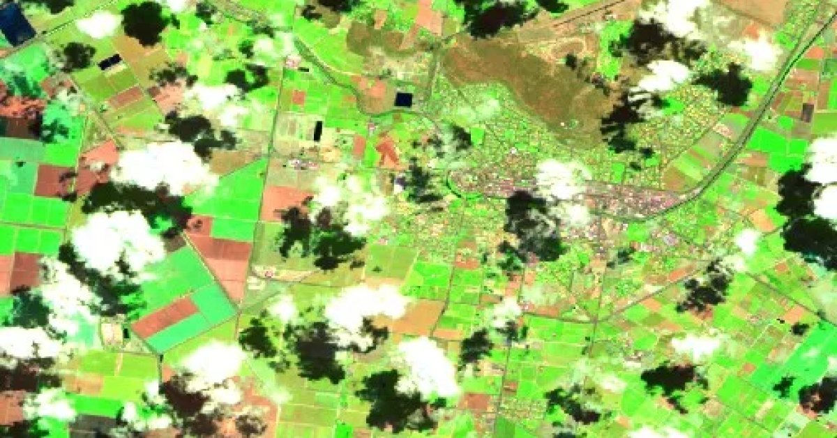 Griffith Bushfire, NSW (2026) — Map & Containment | Current Wildfires