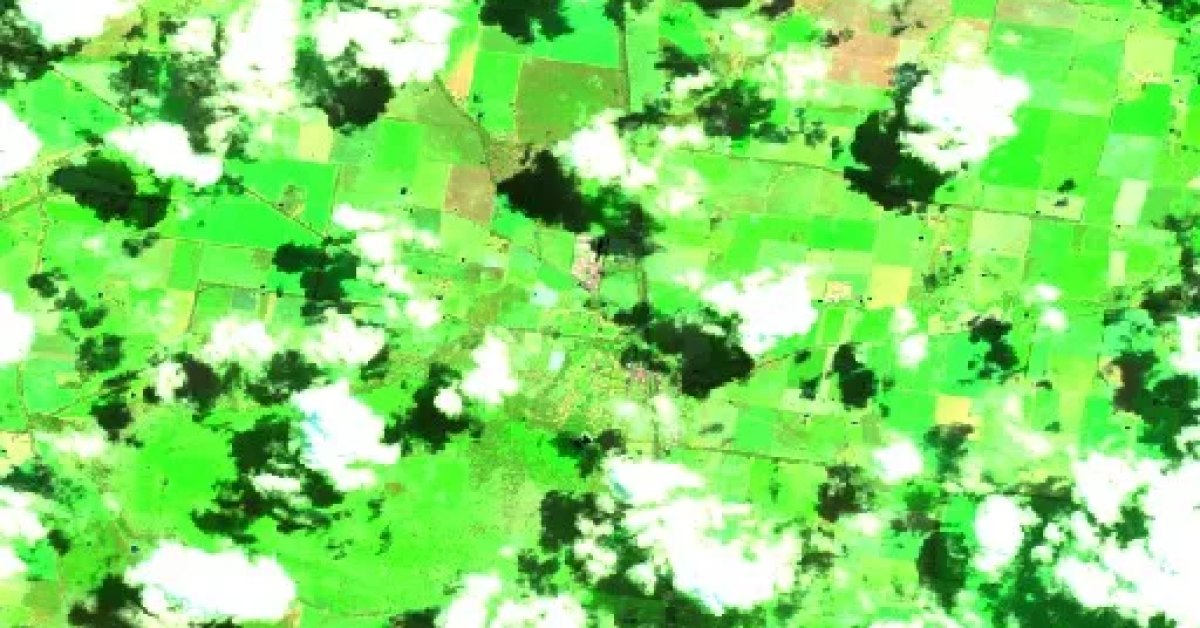 Henty Bushfire, NSW (2026) — Map & Containment | Current Wildfires