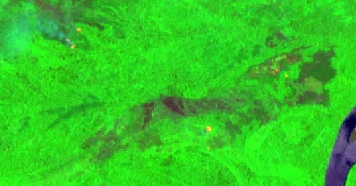 Wildfire near Mappi, Indonesia (2026) — Map & Containment