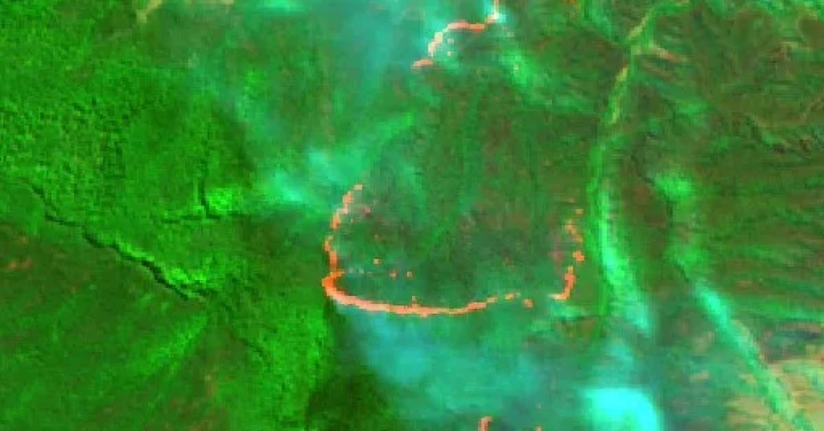 Wildfire near Tenterfield, AU (2026) — Map & Containment