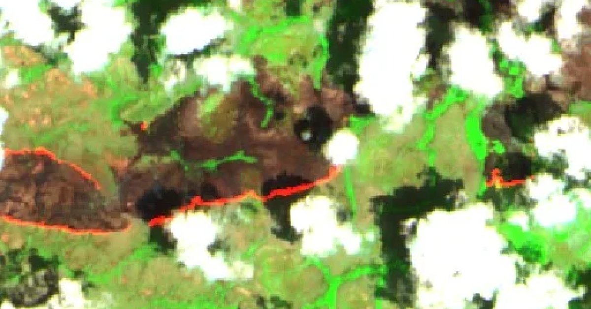 Wildfire near Waypa (Oct 5), Brazil (2026) — Map & Containment
