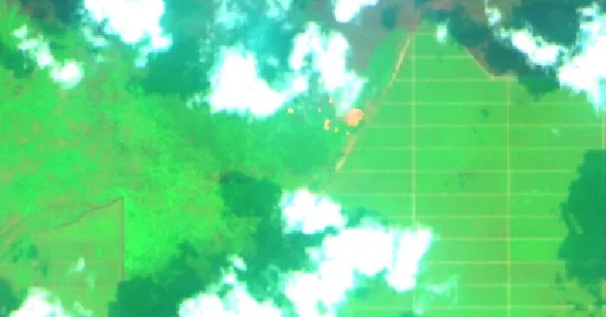 Wildfire near Wiralaga Mulya (Oct 20), Indonesia (2026) — Map & Containment