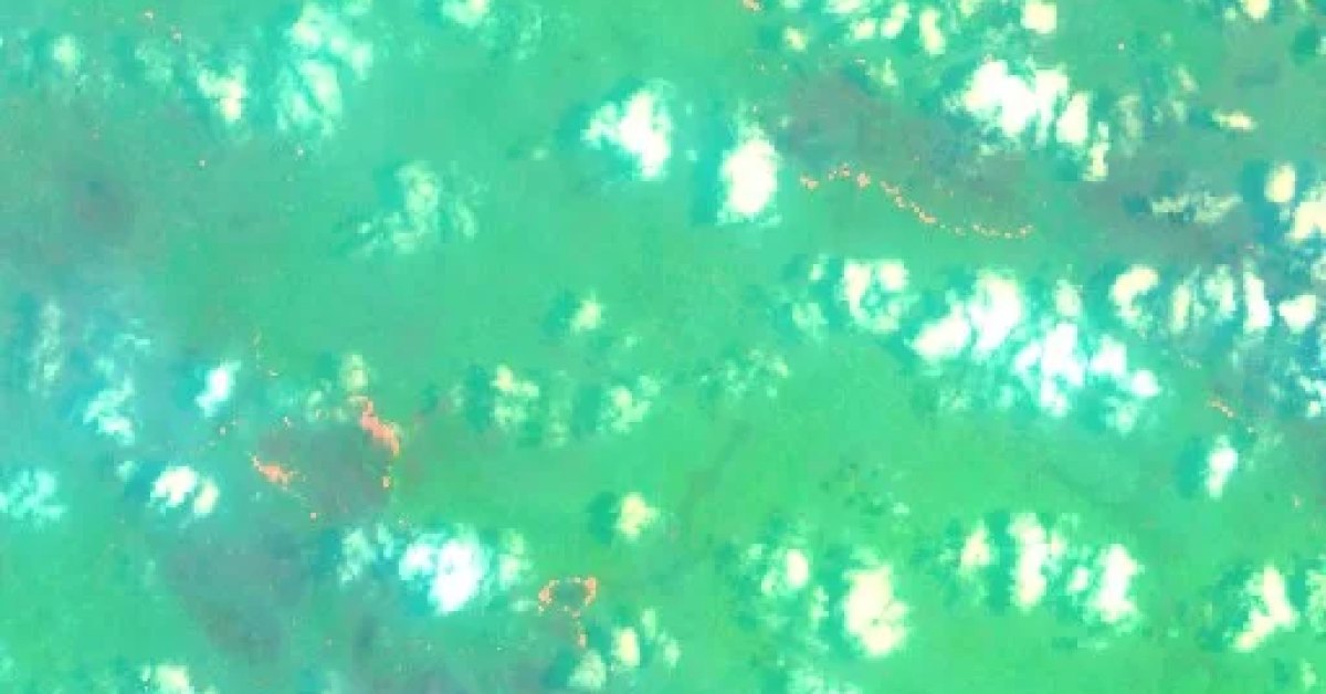 Wildfire, Papua New Guinea (2026) — Map & Containment