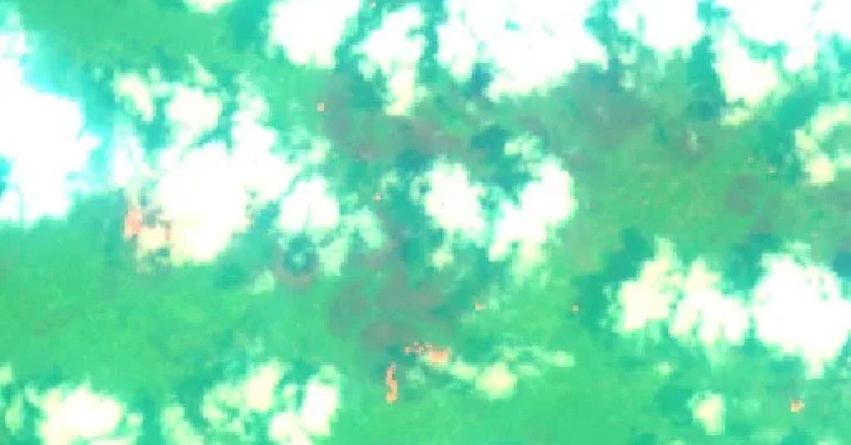 Wildfire, Papua New Guinea (2026) — Map & Containment